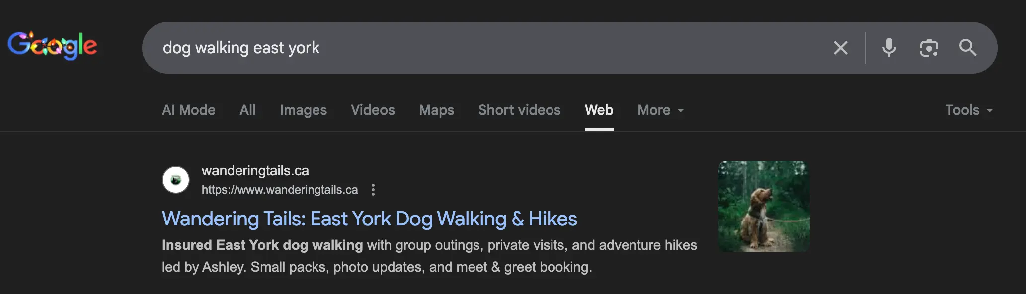 NexSite website ranking performance visualization