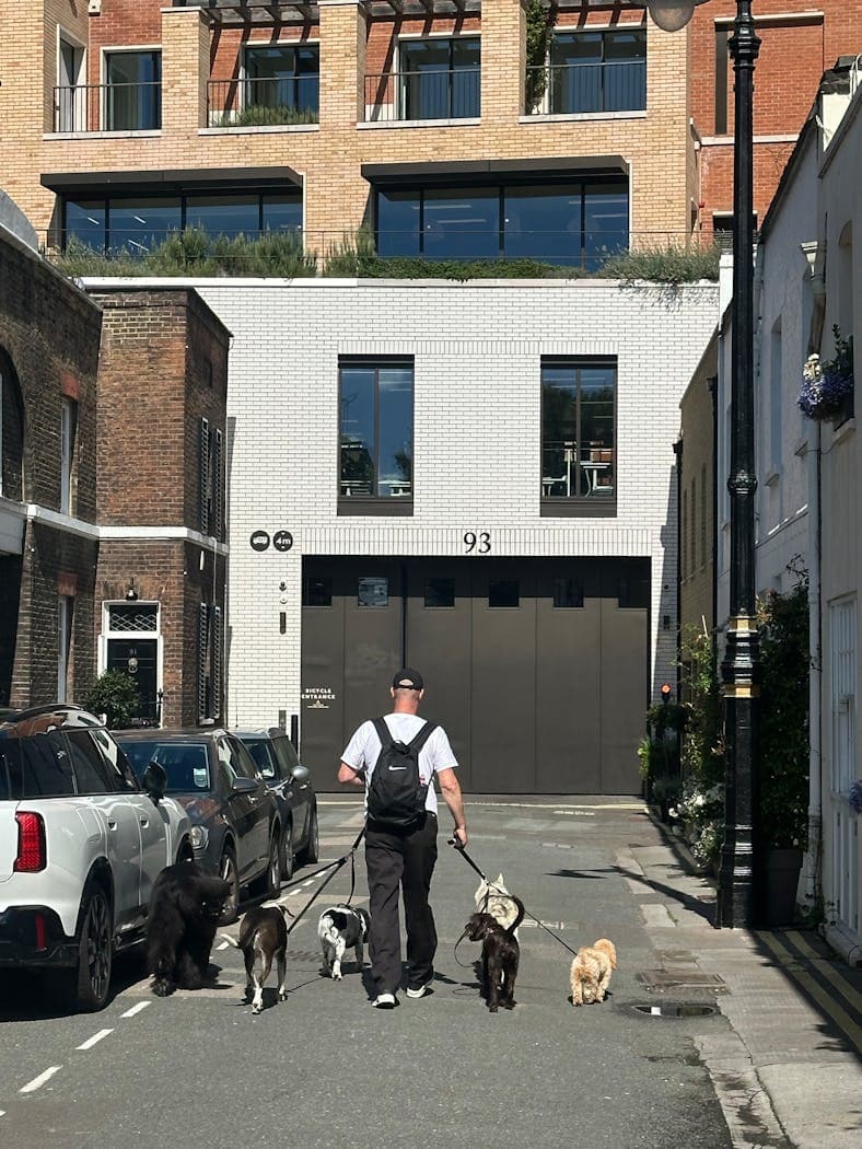How to Get More Dog Walking Clients With Your Website