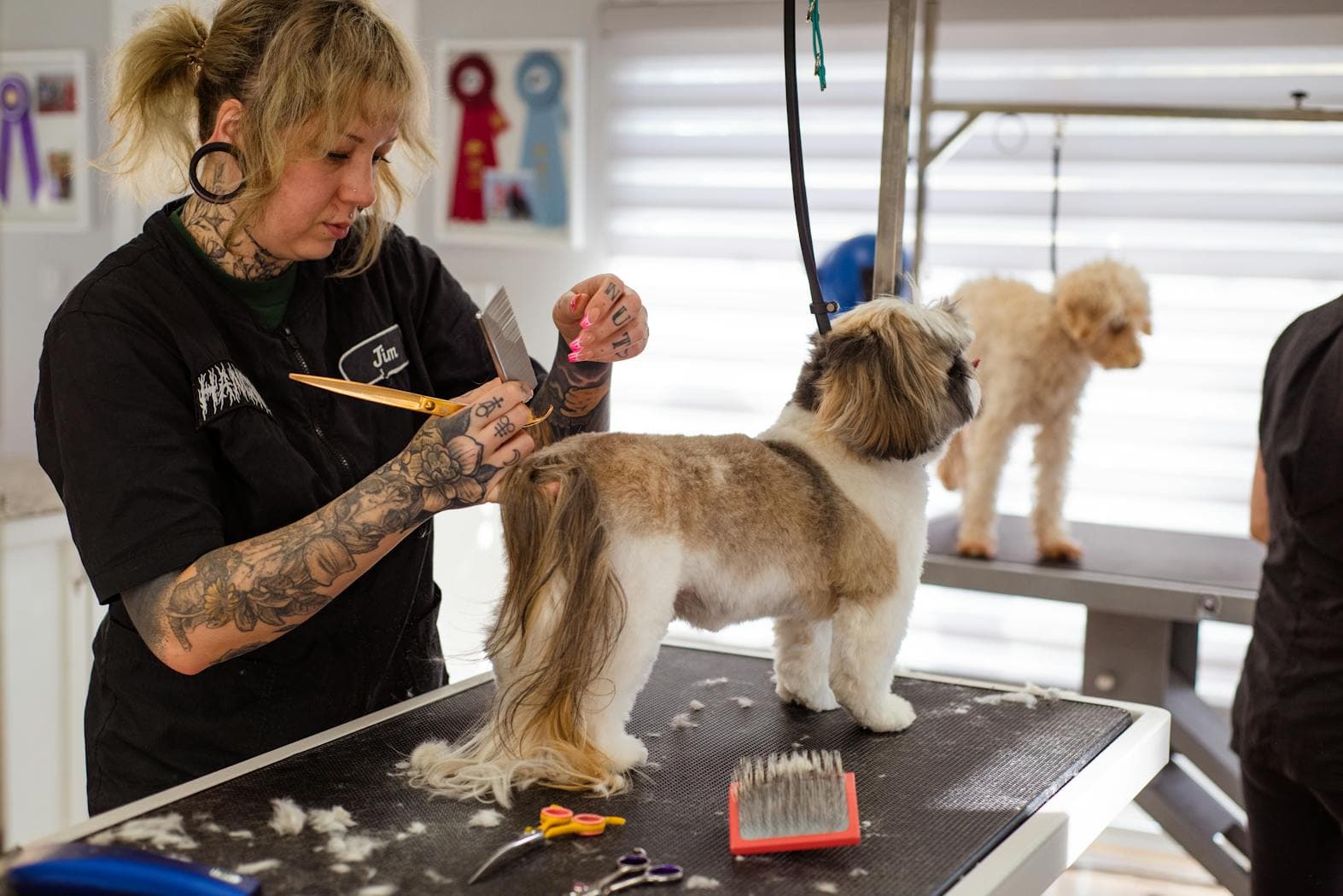 10 Website Mistakes Pet Groomers Make (And How to Fix Them)