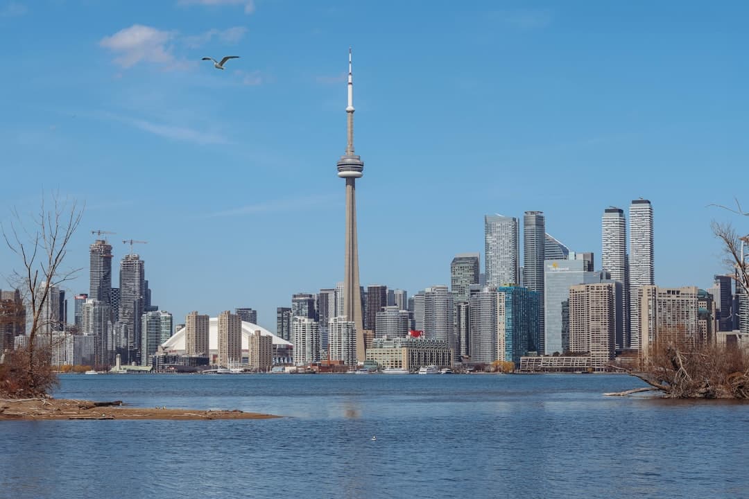 How to Choose a Web Design Company in Toronto