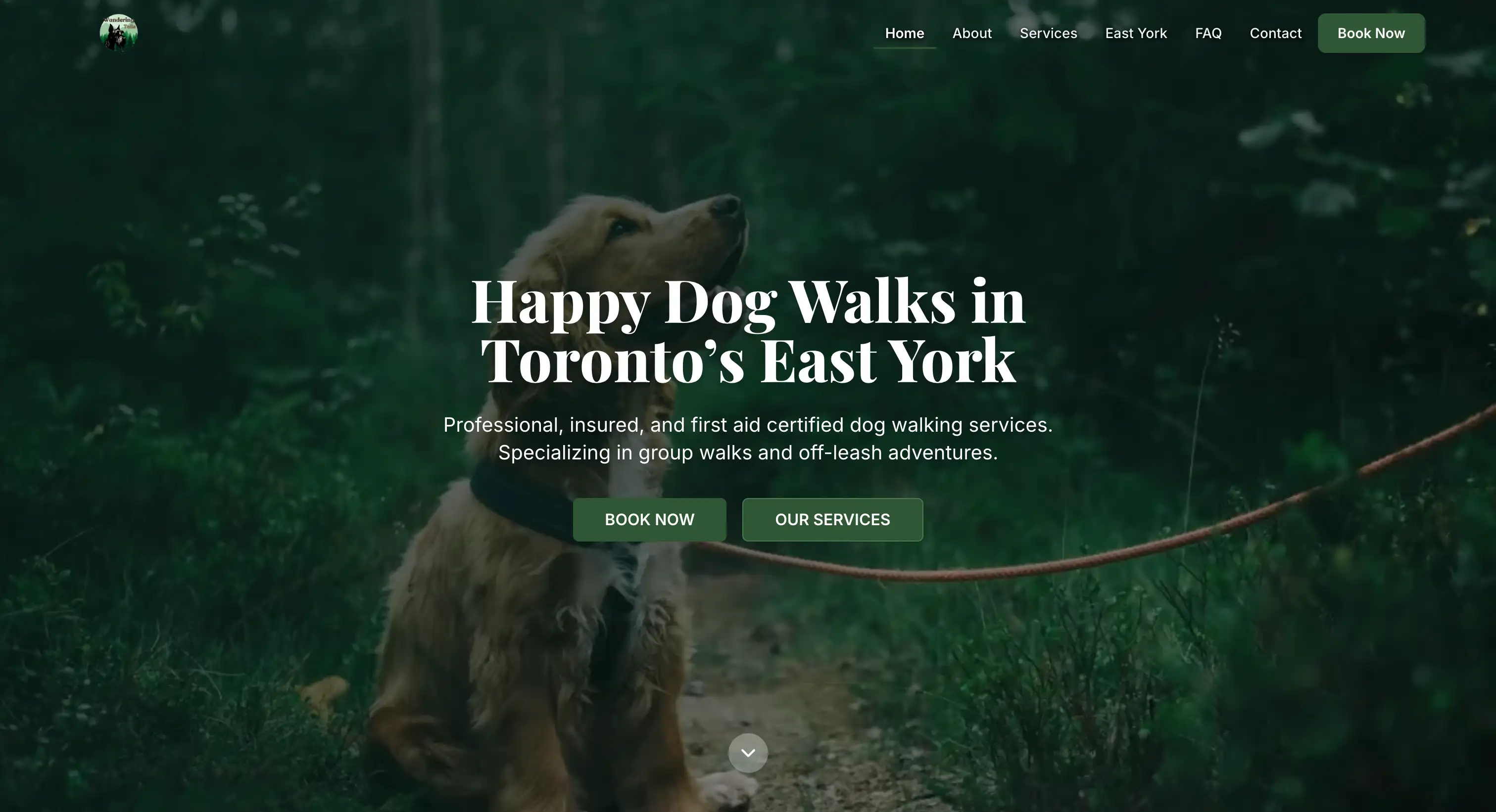 Desktop website mockup showcasing a clean service business layout